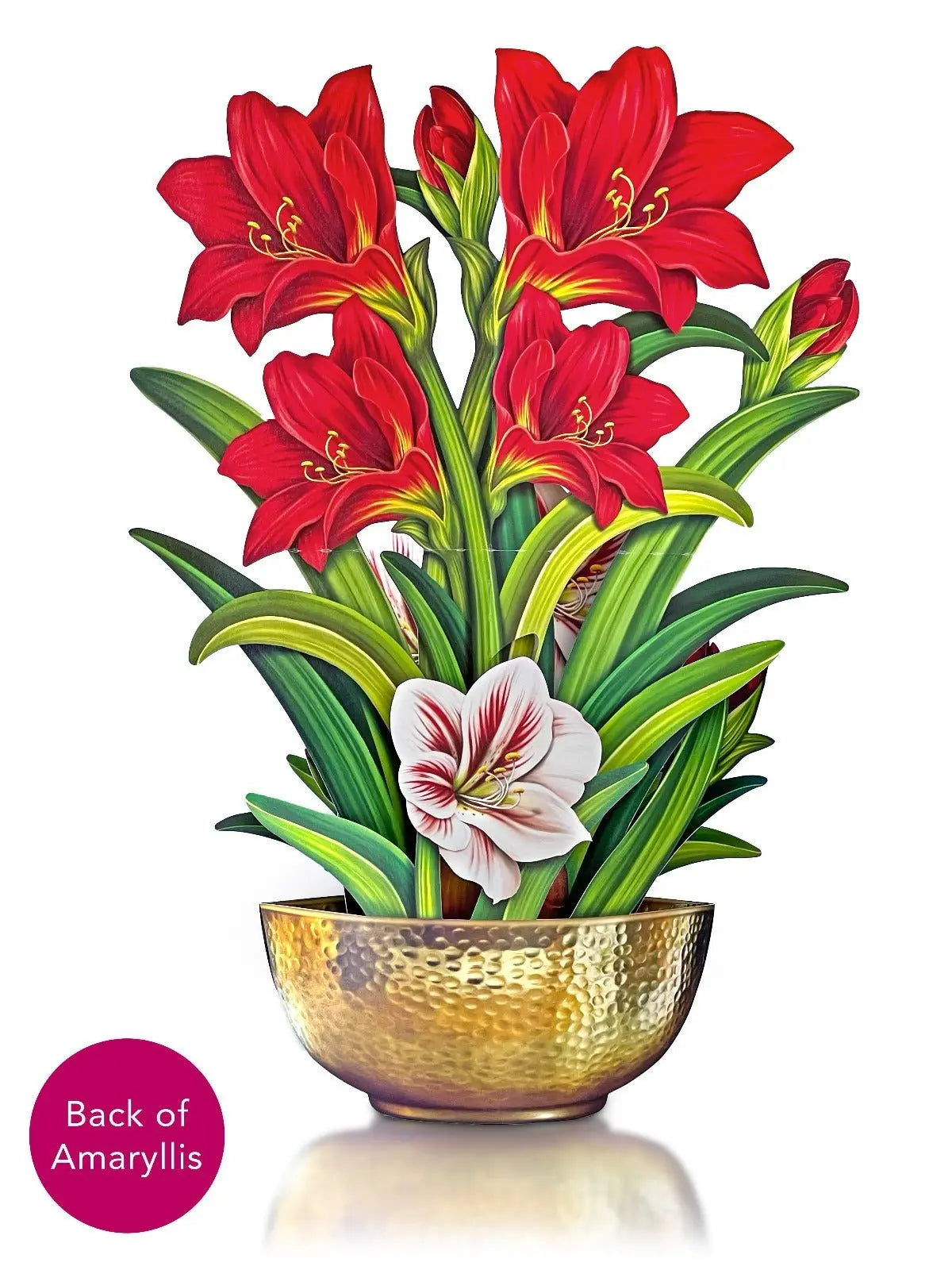 Paper Bouquet - Scarlet Amarylis - 16"