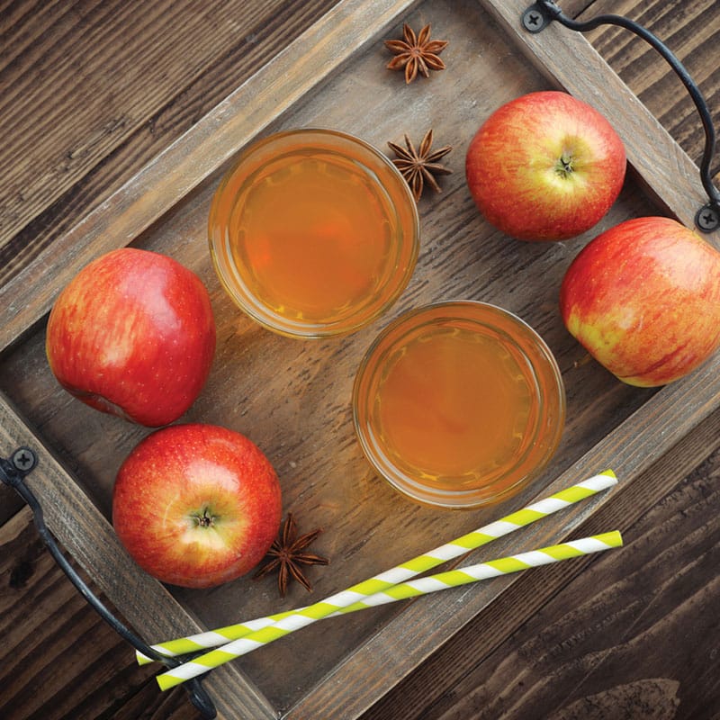 Drink Mix Pack - Spiced Apple Cider