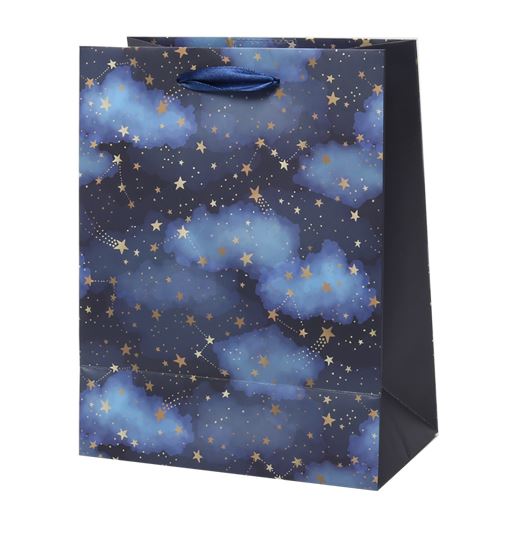 Medium Gift Bag - Starry Night - 9"