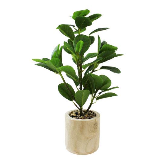Plant - Artificial - Ficus Fig 16"