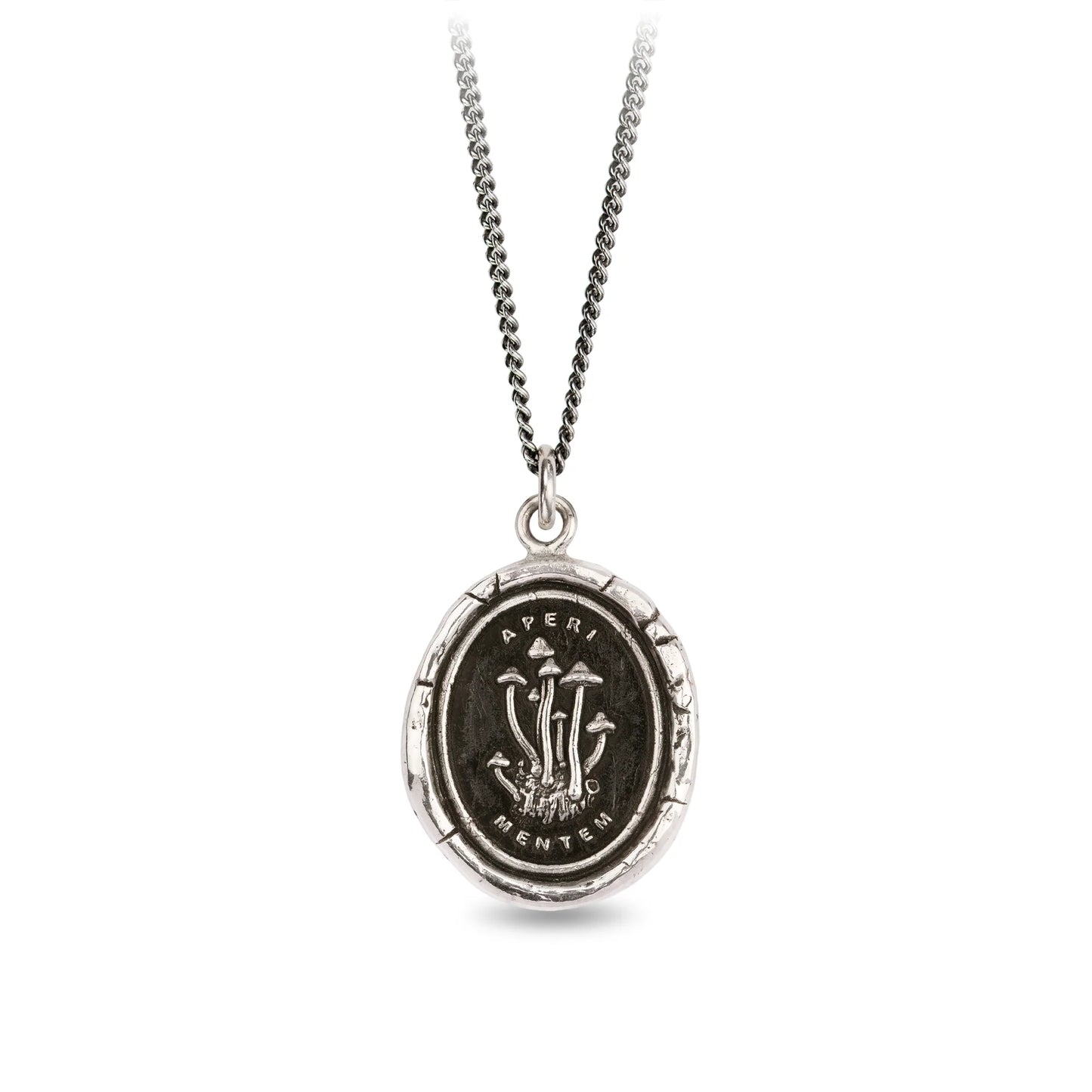 Pyrrha Talisman Necklace - Open Your Mind - Silver